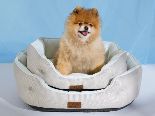 Beat The Heat Pet Bed — Cooling Comfort for Small Dogs & Cats, Machine Washable